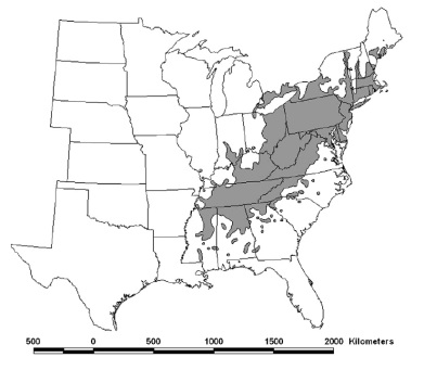 Natural pre-blight range of the American Chestnut across the eastern USA, exceeding 800,000km2 (adapted from Jacobs 2007).
